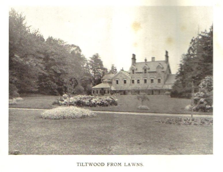Tiltwood from the Lawn